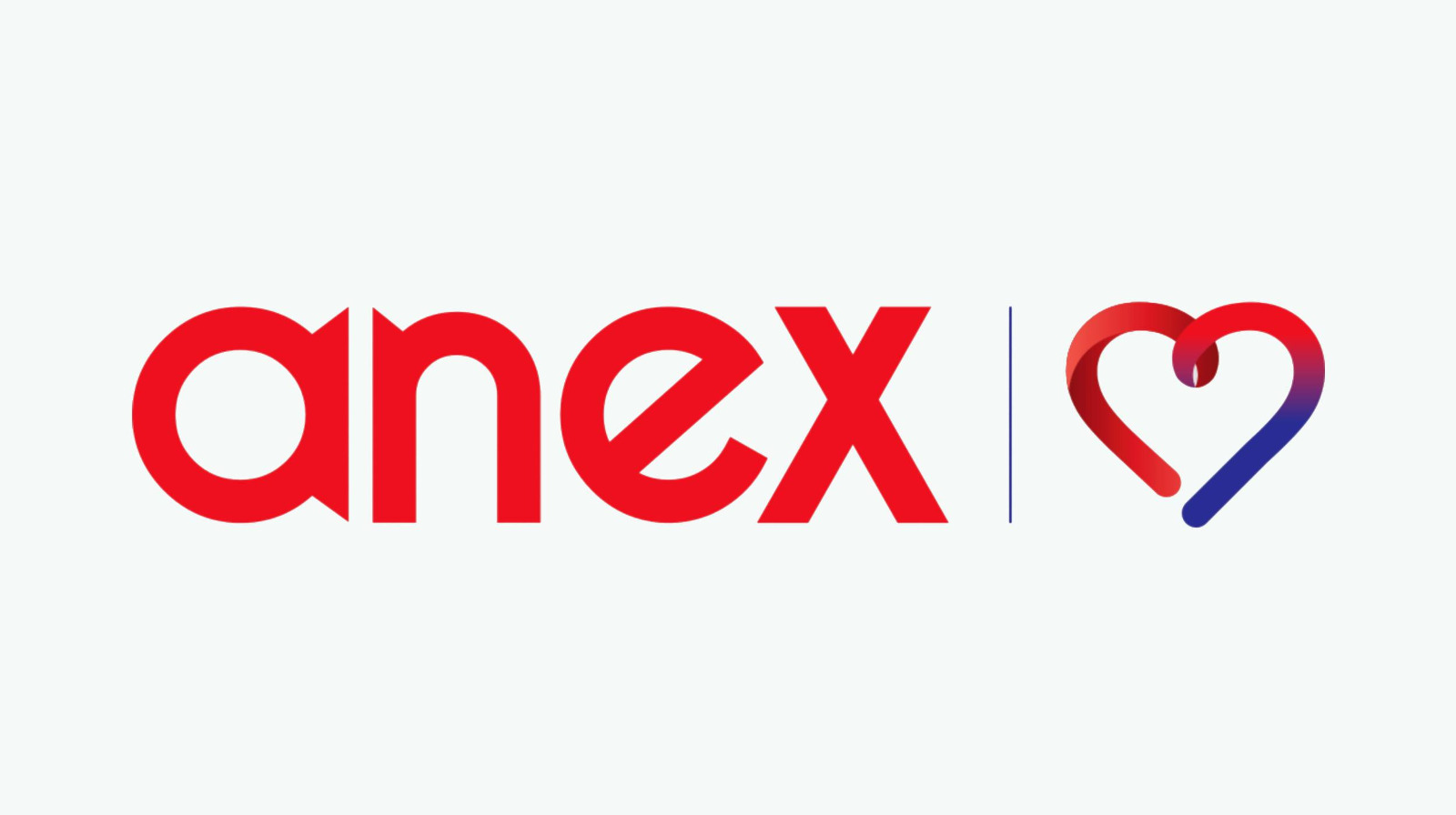 ANEX Grubu'ndan gözaltı açıklaması